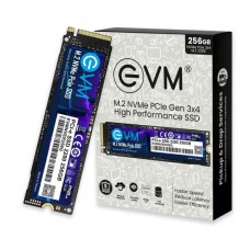 EVM 256GB M.2 NVME PCIE SSD